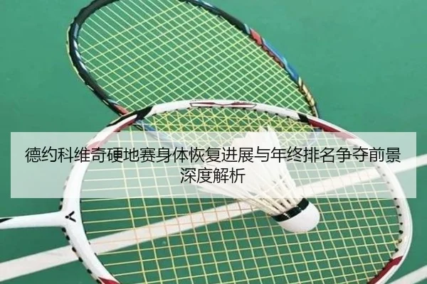 德约科维奇硬地赛身体恢复进展与年终排名争夺前景深度解析